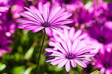 《刺客信条：影》首个热修上线：修复稳定问题和照片模式导致崩溃