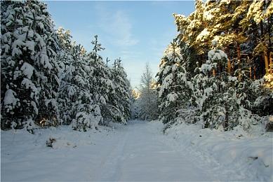 《百英雄传》“游戏关键特色”预告片分享
