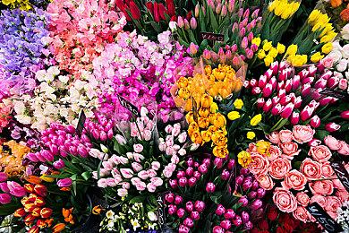 《星球大战：法外狂徒》幕后花絮 新星球托夏拉风貌